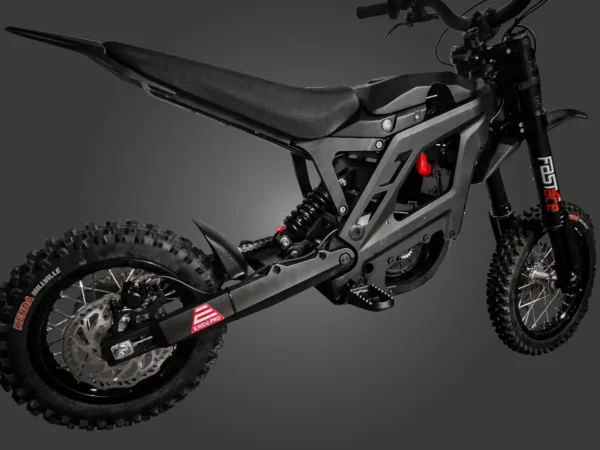 E ride pro mini for sale